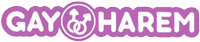 gay harem